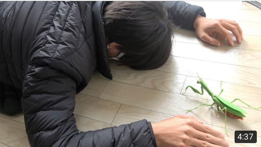 おーちゃんねる 爆笑 山チャンネルblog