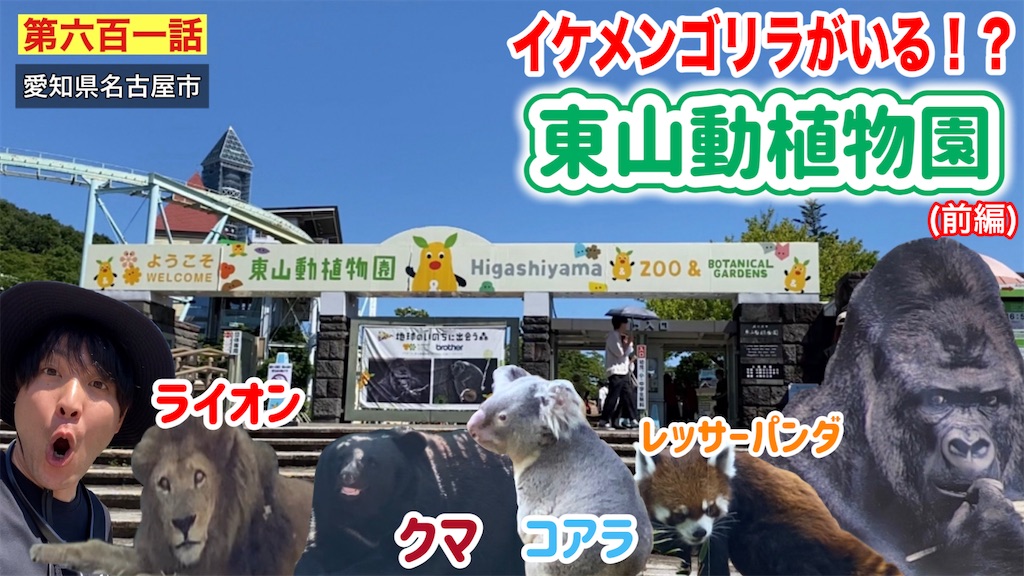 f:id:yamachannelblog:20240621040626j:image