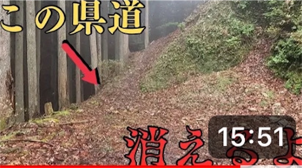 f:id:yamachannelblog:20240621042206j:image