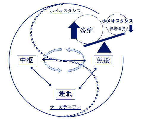 f:id:yamachax:20200408125044p:plain f:id:yamachax:20200408125044p:plain