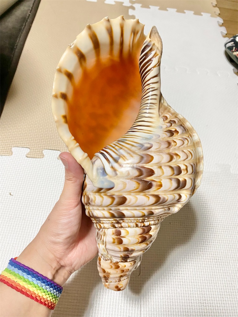 お手製楽器ホラガイの作り方 - 今日これ作りました。