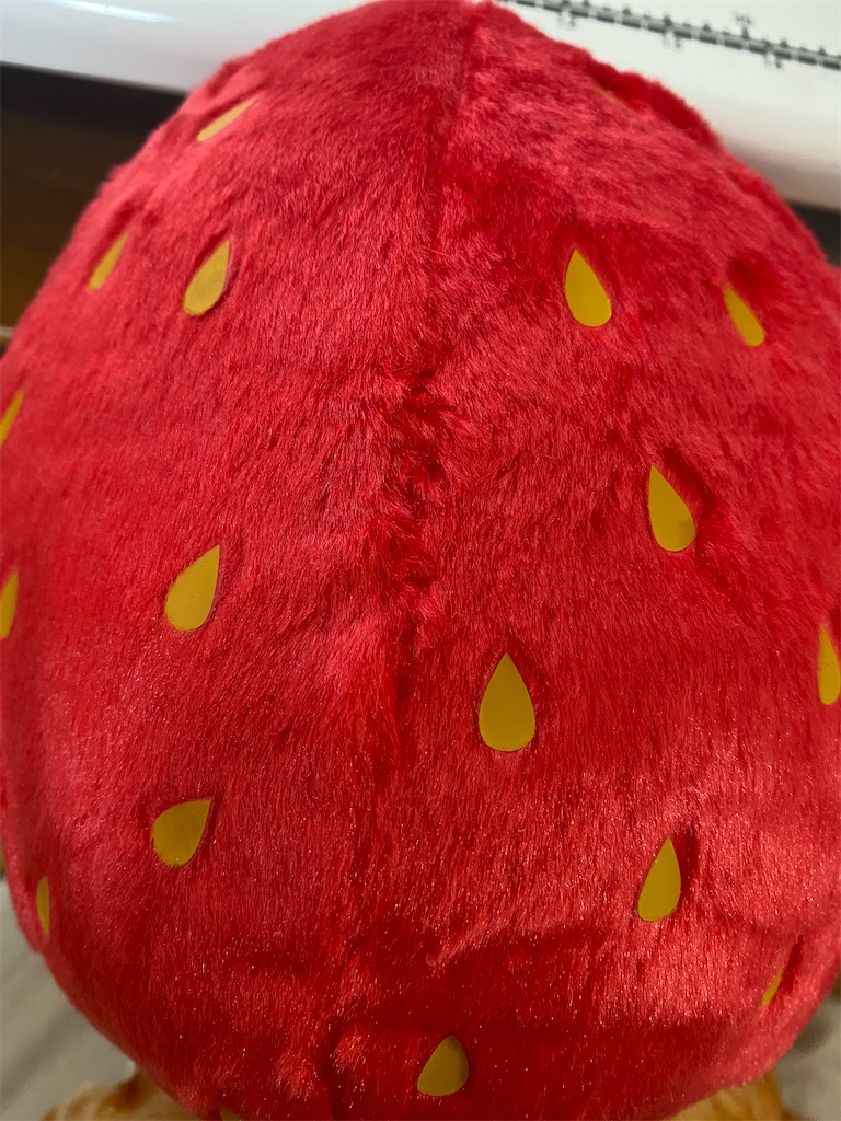 f:id:yamache:20230120160745j:image