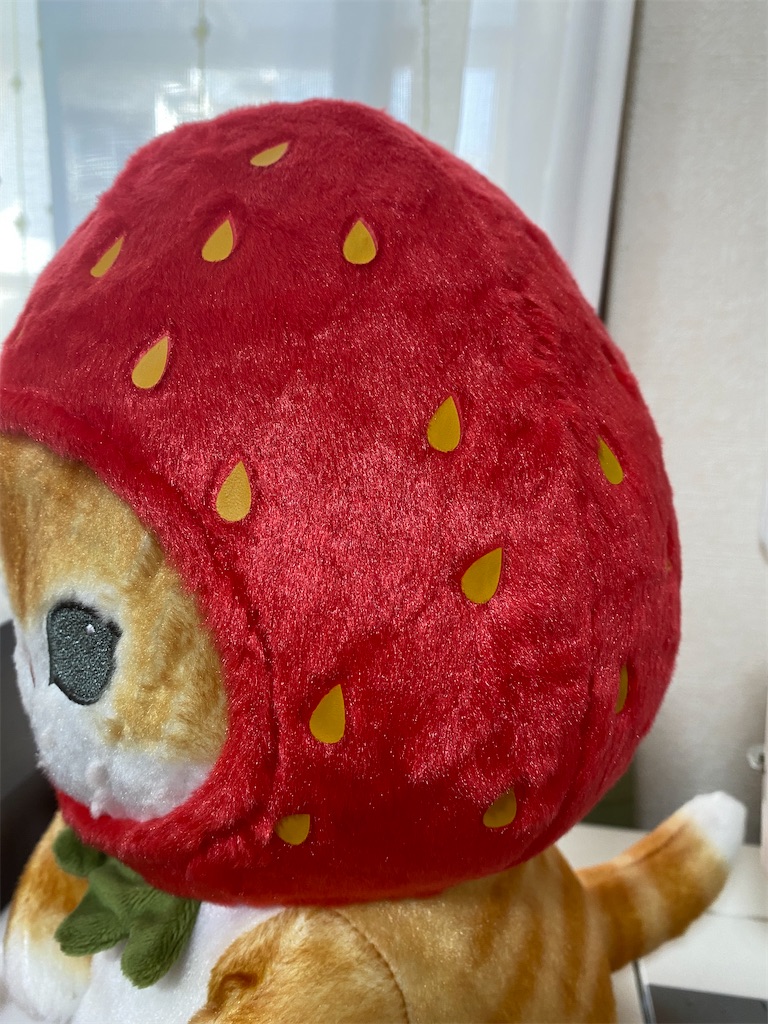 f:id:yamache:20230120160807j:image