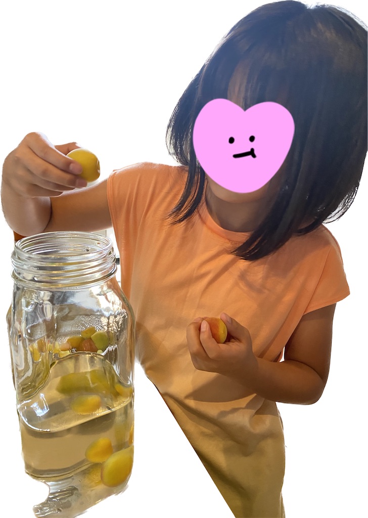f:id:yamache:20230620155520j:image