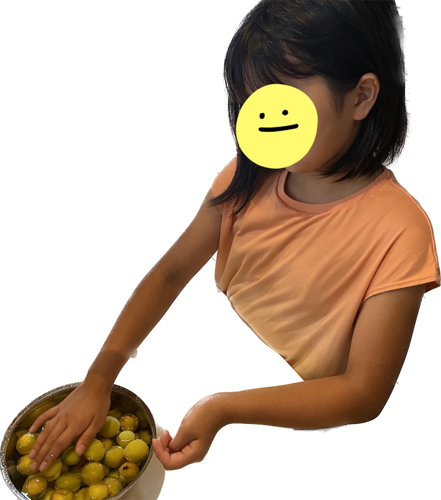 f:id:yamache:20230620155537j:image