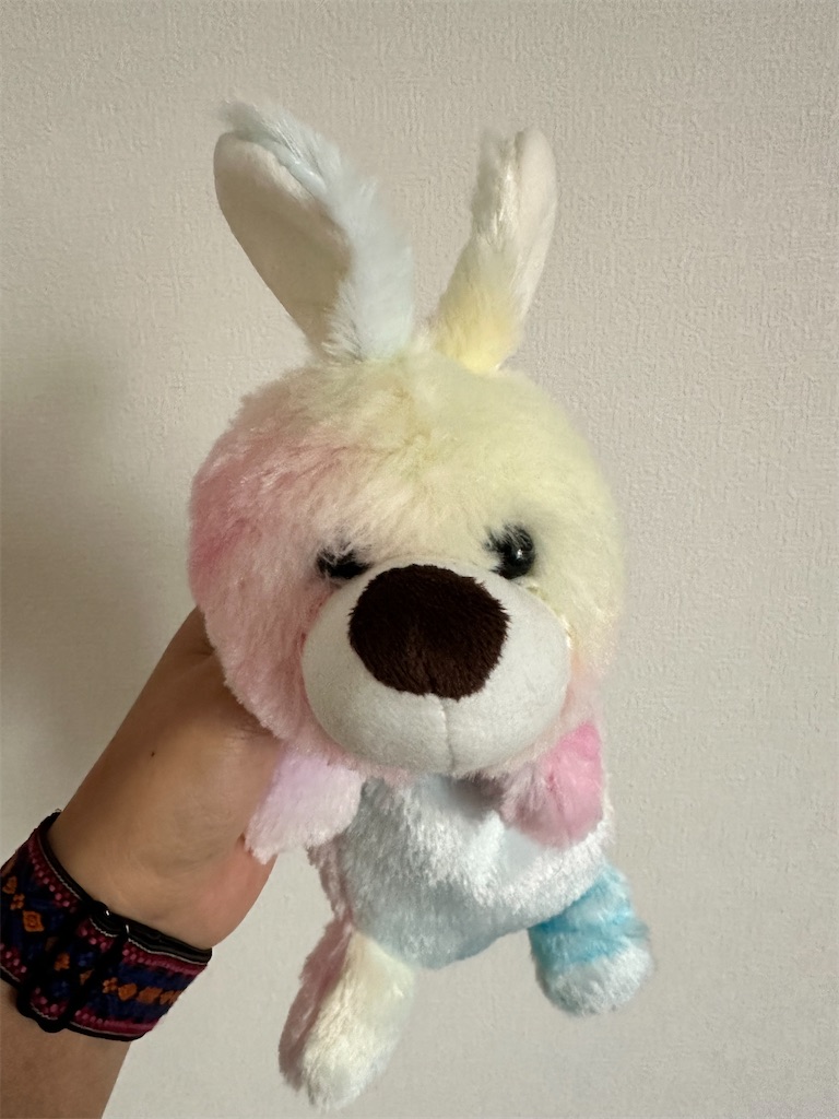 f:id:yamache:20240529090057j:image