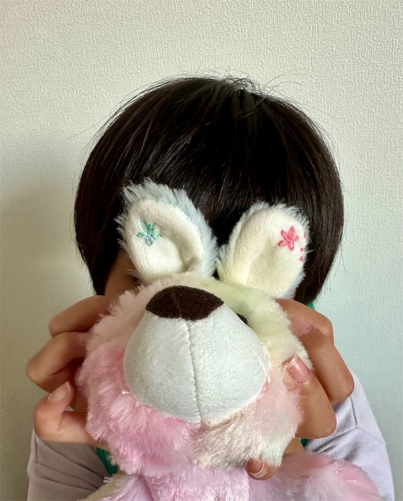 f:id:yamache:20240529090111j:image