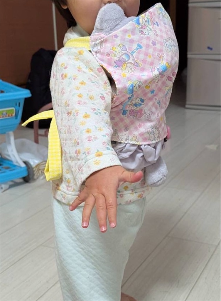 f:id:yamache:20241230232605j:image