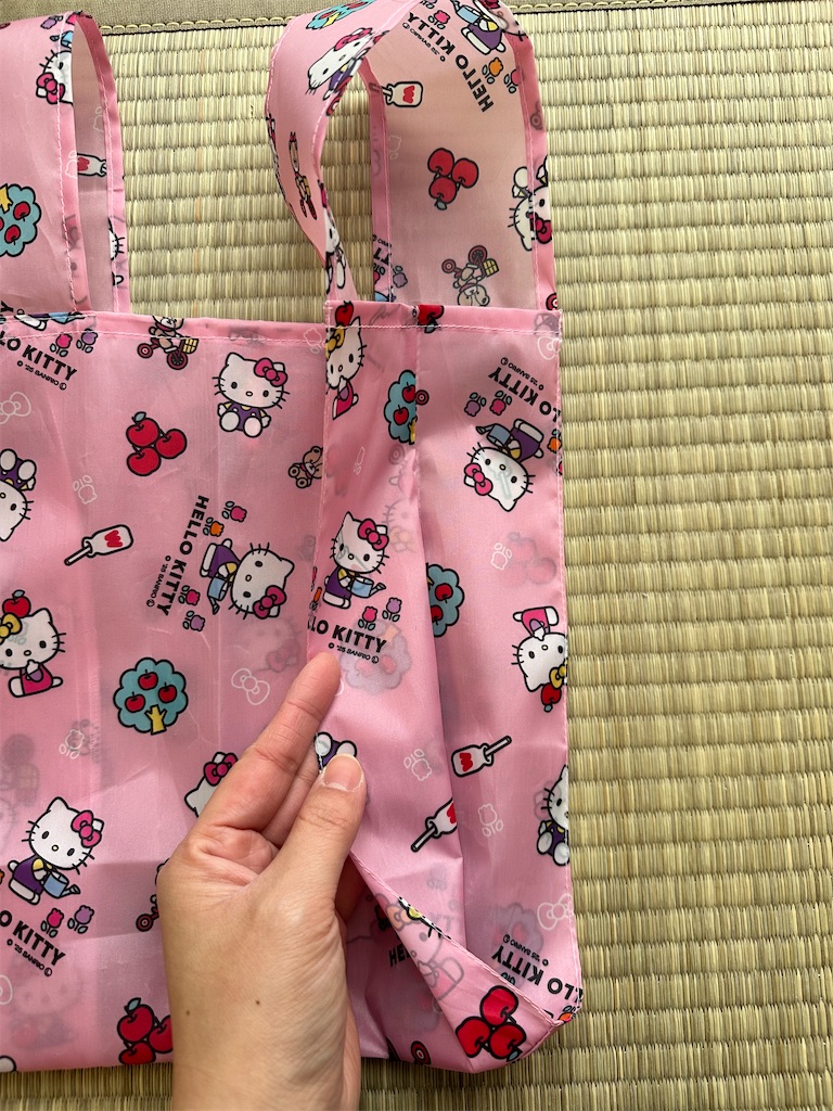 f:id:yamache:20250215072357j:image