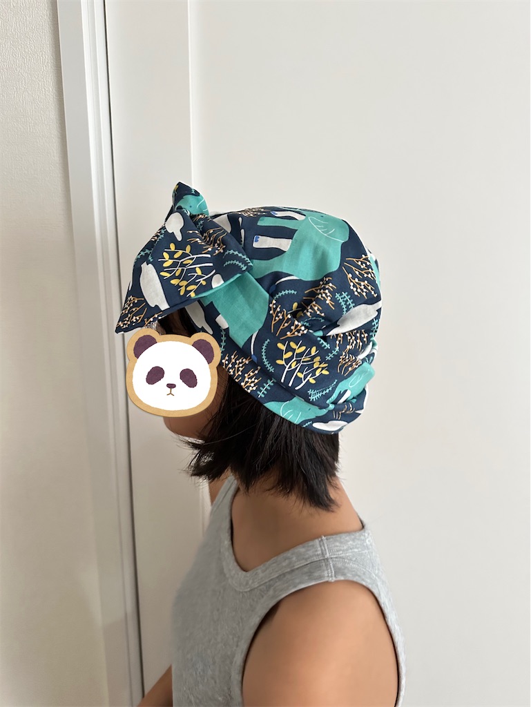 f:id:yamache:20250422114101j:image
