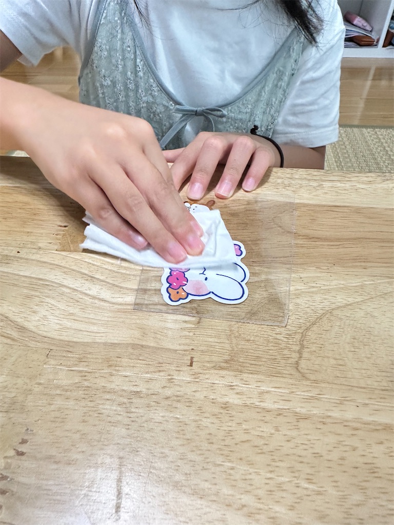 f:id:yamache:20250807084245j:image