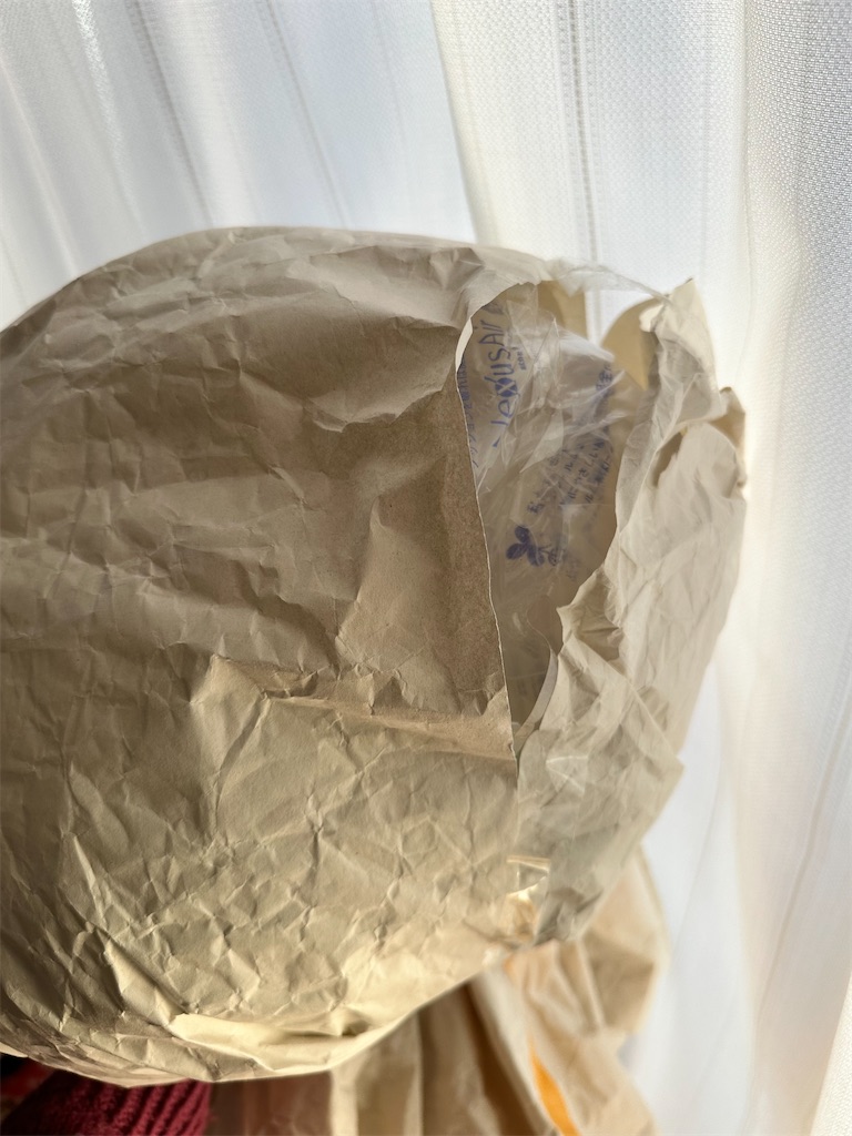 エコビッグテルテル坊主 - 今日これ作りました。