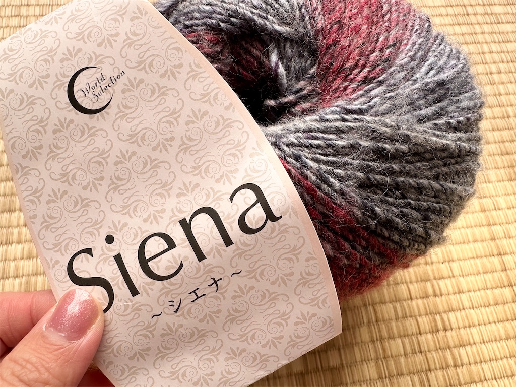 f:id:yamache:20260124214534j:image f:id:yamache:20260124214534j:image