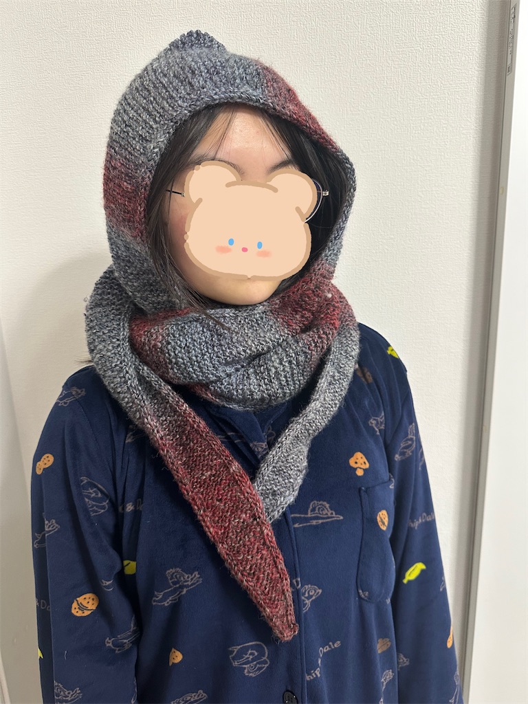 f:id:yamache:20260131102238j:image