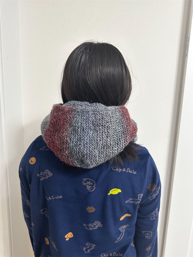 f:id:yamache:20260131102244j:image
