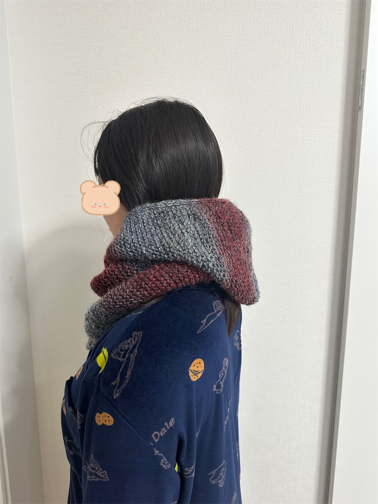 f:id:yamache:20260131102353j:image