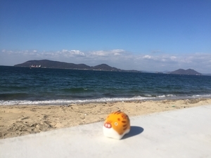 f:id:yamada-38:20190103120118j:image