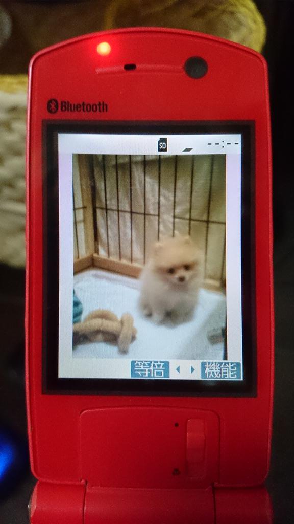 f:id:yamada-norio-0802:20160831102149j:plain f:id:yamada-norio-0802:20160831102149j:plain