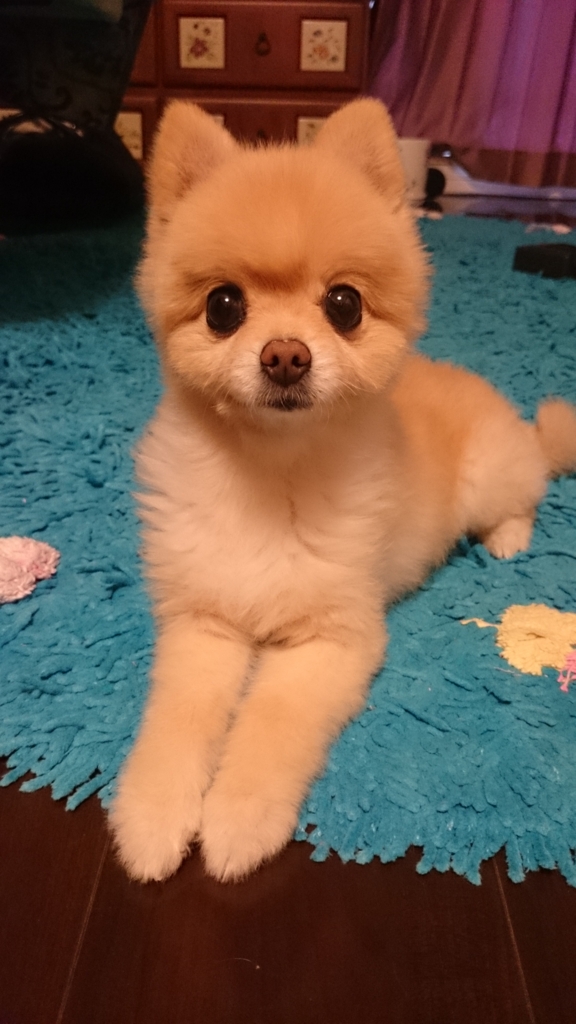 f:id:yamada-norio-0802:20160831102338j:plain f:id:yamada-norio-0802:20160831102338j:plain
