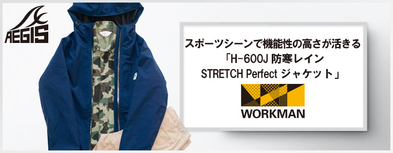 f:id:yamada0221:20190328112909j:plain