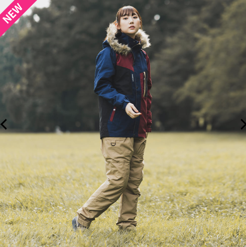 f:id:yamada0221:20201104123310p:plain