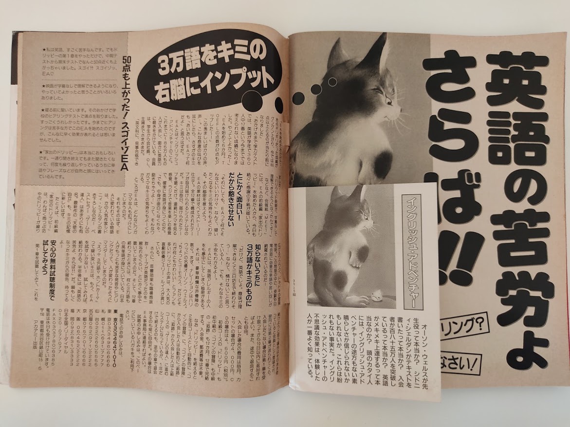 f:id:yamada0221:20201105114238j:plain