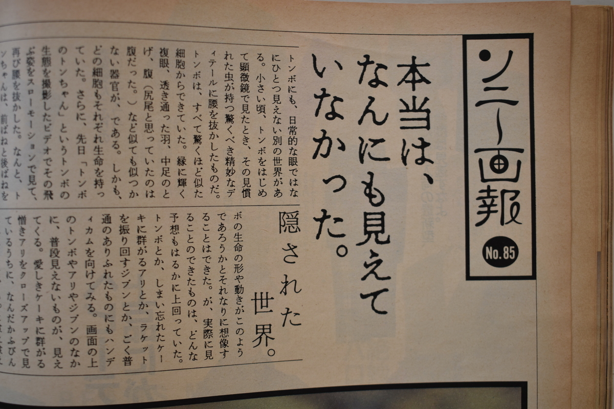 f:id:yamada0221:20210414102647j:plain