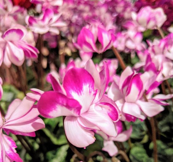 f:id:yamada0221:20210914100947j:plain