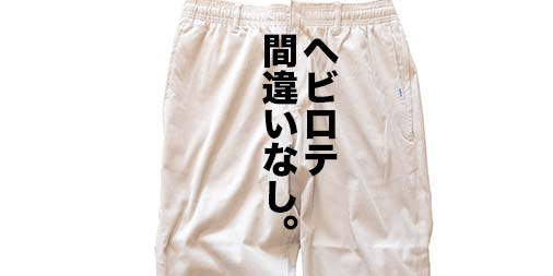 f:id:yamada0221:20220202170120j:plain