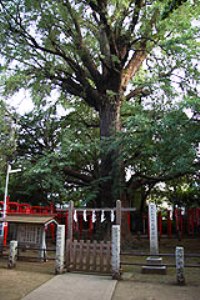 f:id:yamada0807:20170514151907j:plain f:id:yamada0807:20170514151907j:plain