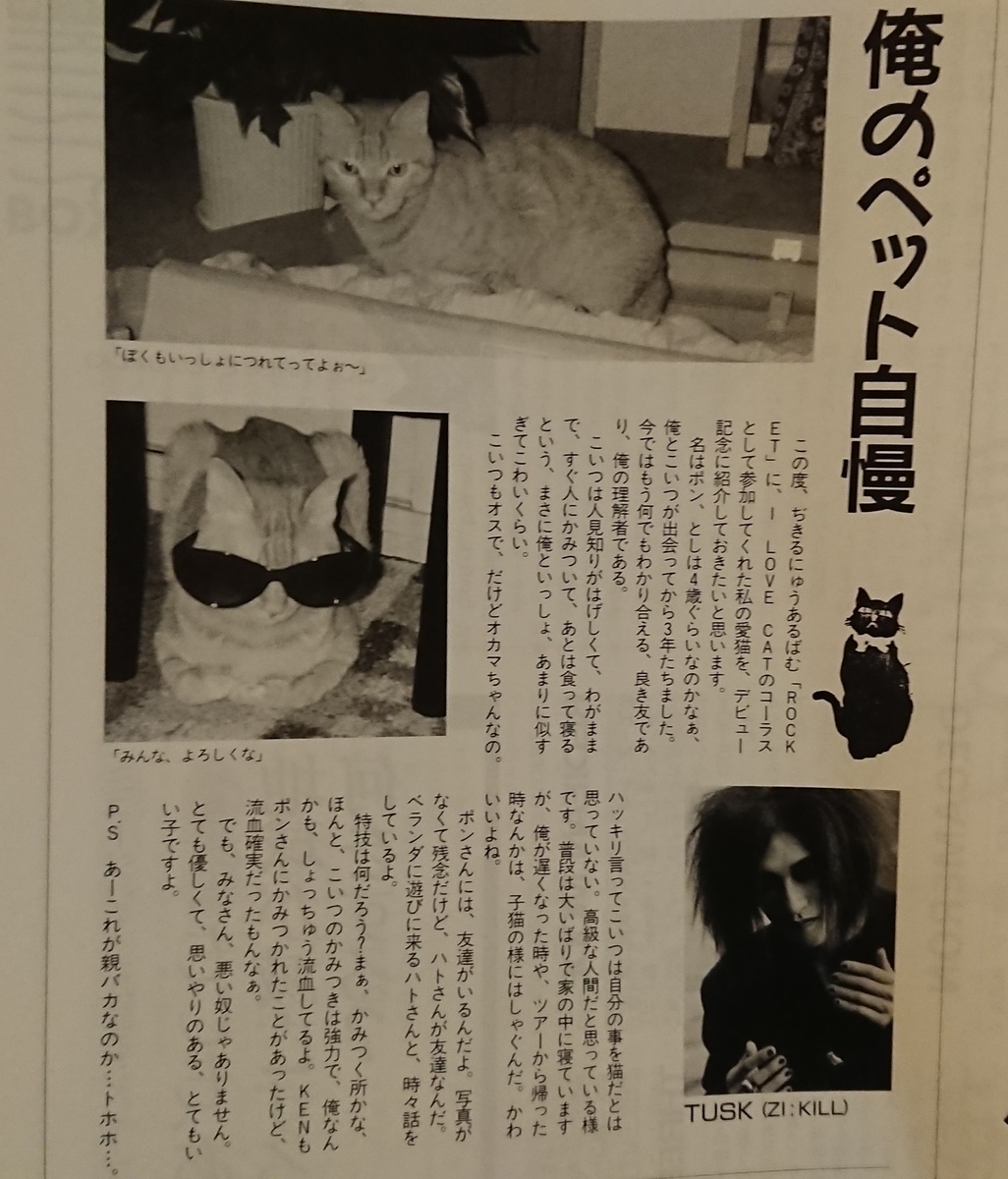 SHOXX Vol.18 - 山田2号的音楽日記