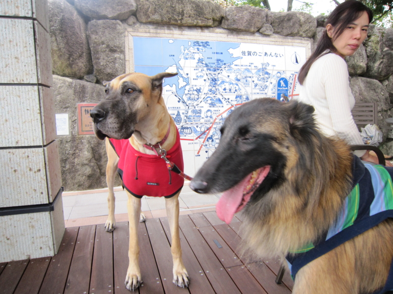 f:id:yamadabox:20091030135034j:image f:id:yamadabox:20091030135034j:image