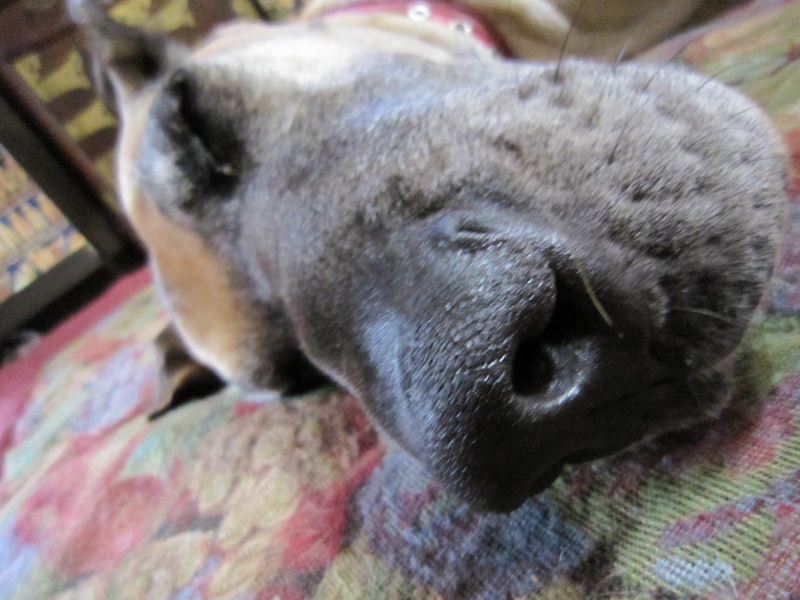 f:id:yamadabox:20100706094657j:image f:id:yamadabox:20100706094657j:image