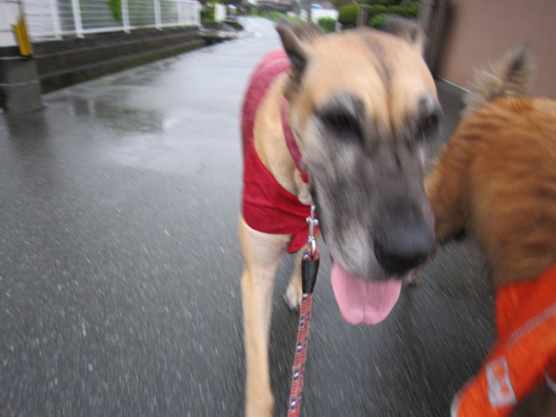 f:id:yamadabox:20100713062612j:image f:id:yamadabox:20100713062612j:image