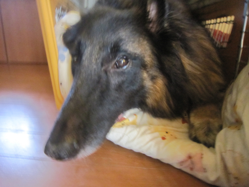f:id:yamadabox:20100820100309j:image f:id:yamadabox:20100820100309j:image