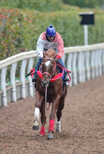 f:id:yamadabushi:20181116205217j:plain f:id:yamadabushi:20181116205217j:plain
