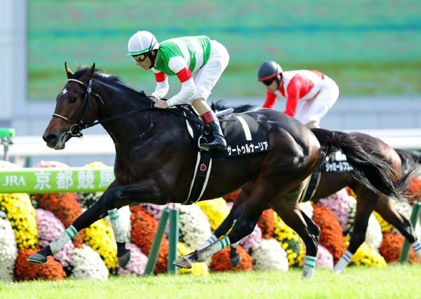 f:id:yamadabushi:20181227201317j:plain f:id:yamadabushi:20181227201317j:plain