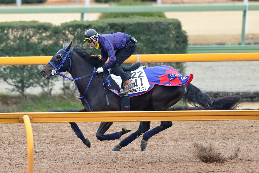 f:id:yamadabushi:20190111130909j:plain f:id:yamadabushi:20190111130909j:plain