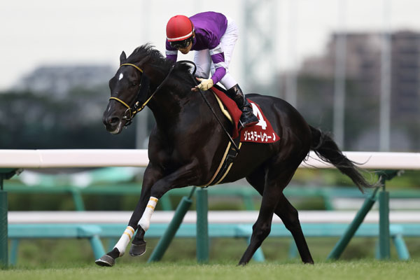 f:id:yamadabushi:20190118214314j:plain f:id:yamadabushi:20190118214314j:plain