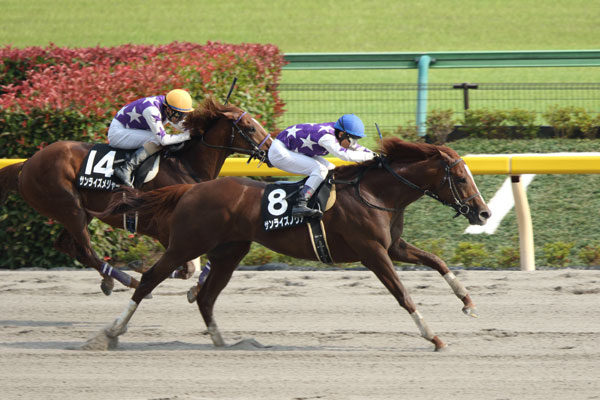 f:id:yamadabushi:20190125214126j:plain f:id:yamadabushi:20190125214126j:plain