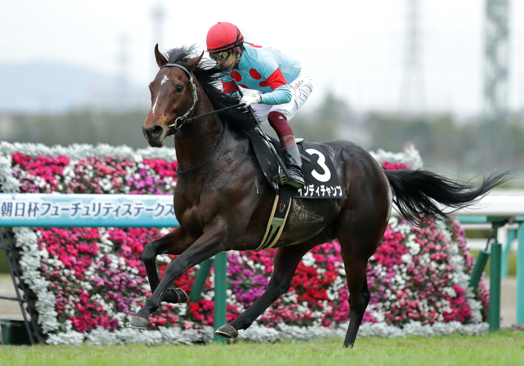 f:id:yamadabushi:20190201120415j:plain f:id:yamadabushi:20190201120415j:plain