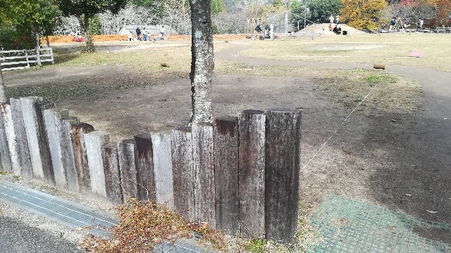 f:id:yamadaidai:20211205164646j:image