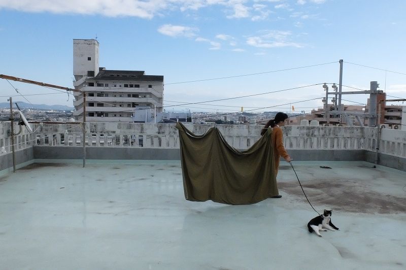 屋上のアイバサンとナコ