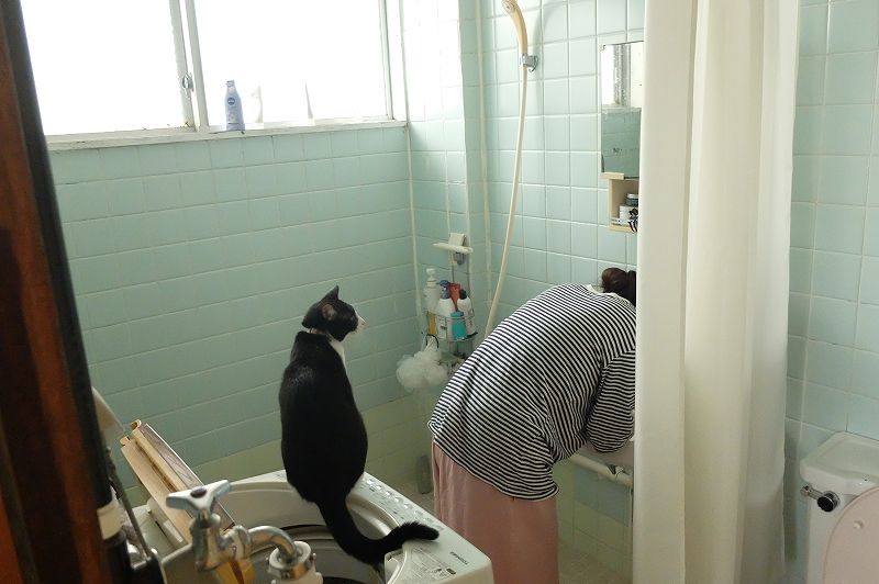 フランクフルト チケット 格安