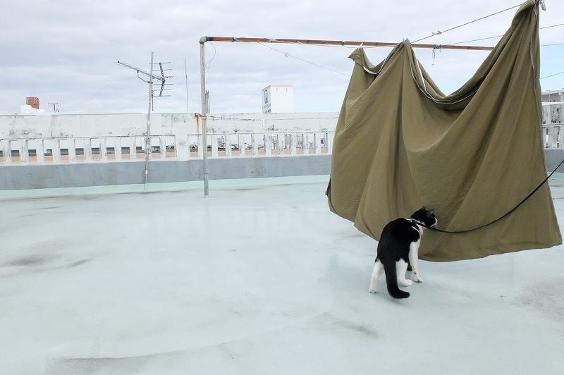 海外移住の前に準備すること