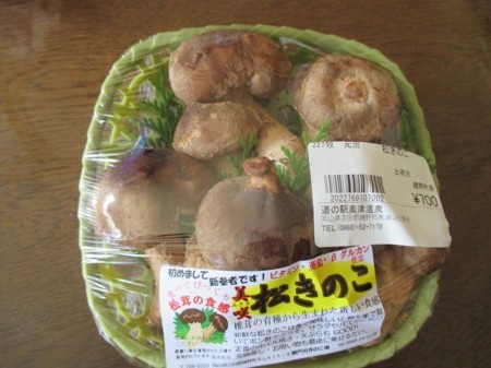 松きのこ発見３０ 三朝町議会議員 山田道治