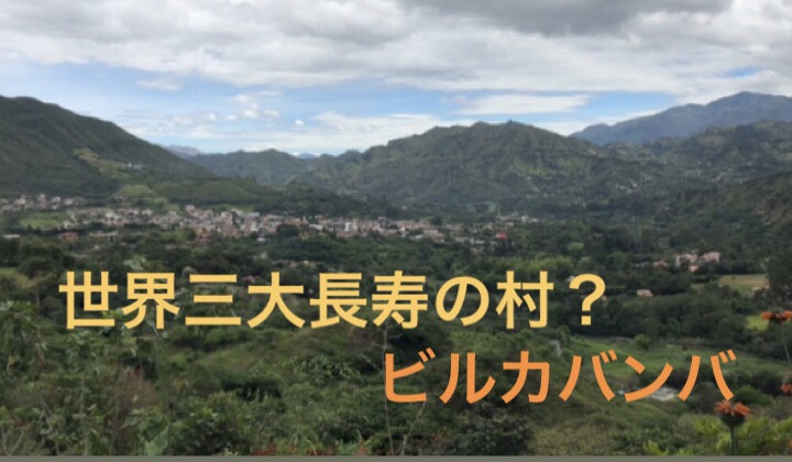 f:id:yamadaru77:20190516125032j:plain f:id:yamadaru77:20190516125032j:plain