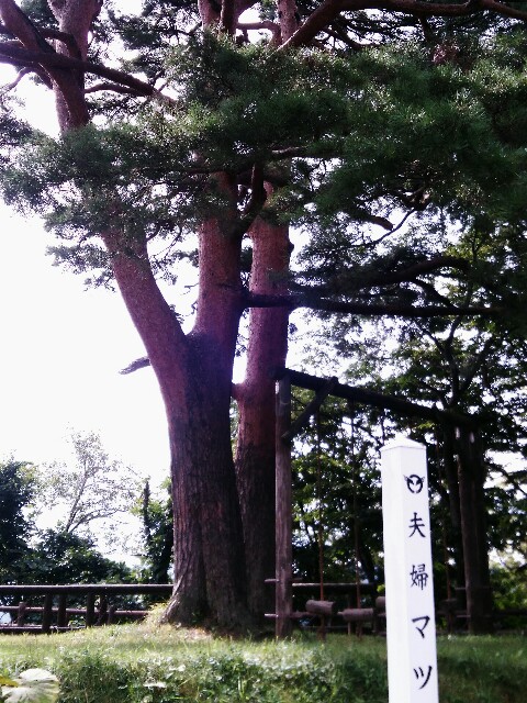 f:id:yamadayukonet:20170916142158j:plain f:id:yamadayukonet:20170916142158j:plain