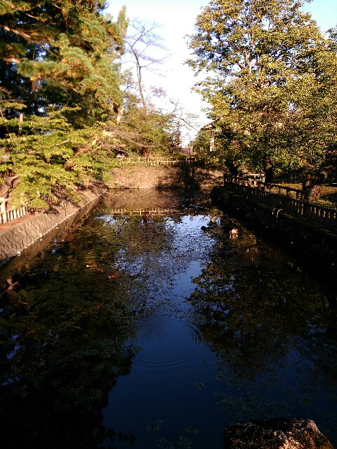 f:id:yamadayukonet:20171005212703j:plain f:id:yamadayukonet:20171005212703j:plain