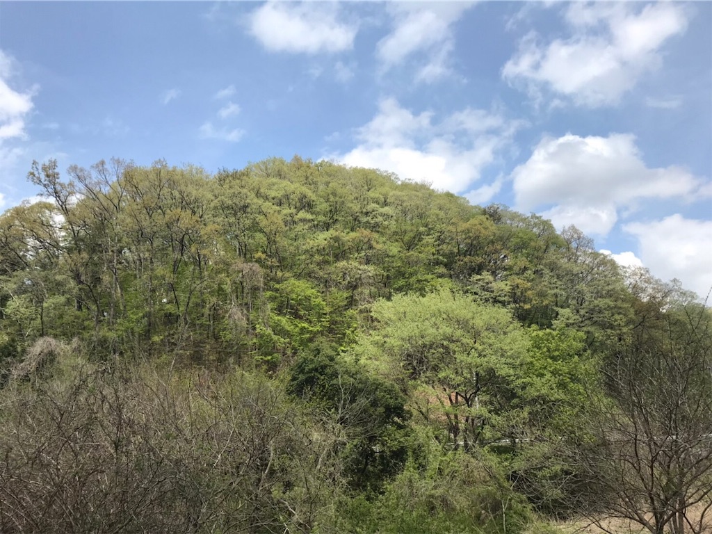 f:id:yamagasuki26:20190430121509j:image f:id:yamagasuki26:20190430121509j:image
